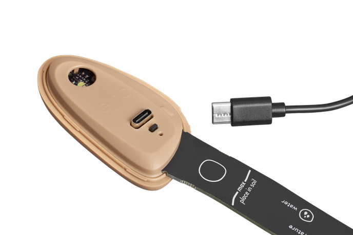 smart pebble aardebruin